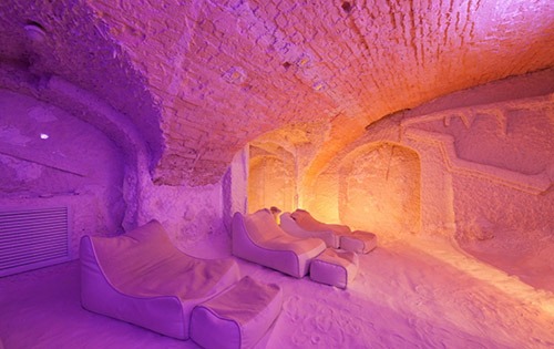 Гирудотерапия - Центр Технологий Здоровья