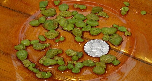 Гимнастика Савотникова - Центр Технологий Здоровья